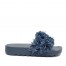 Colors of california blue flower trim slides