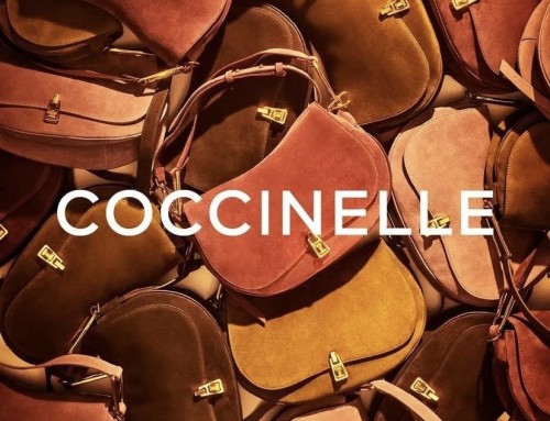 Your Festive Gift: Coccinelle Bags -30% 🎉