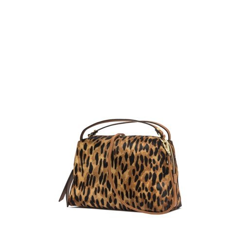 GIANNI-CHIARINI-ALIFA-LINCE