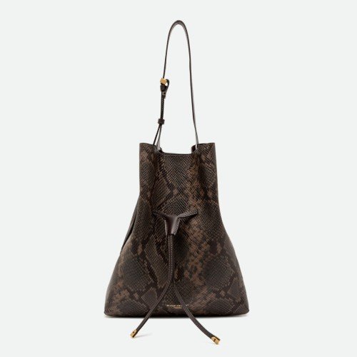 GIANNI-CHIARINI-SIENNA-PYTHON-ESPRESSO